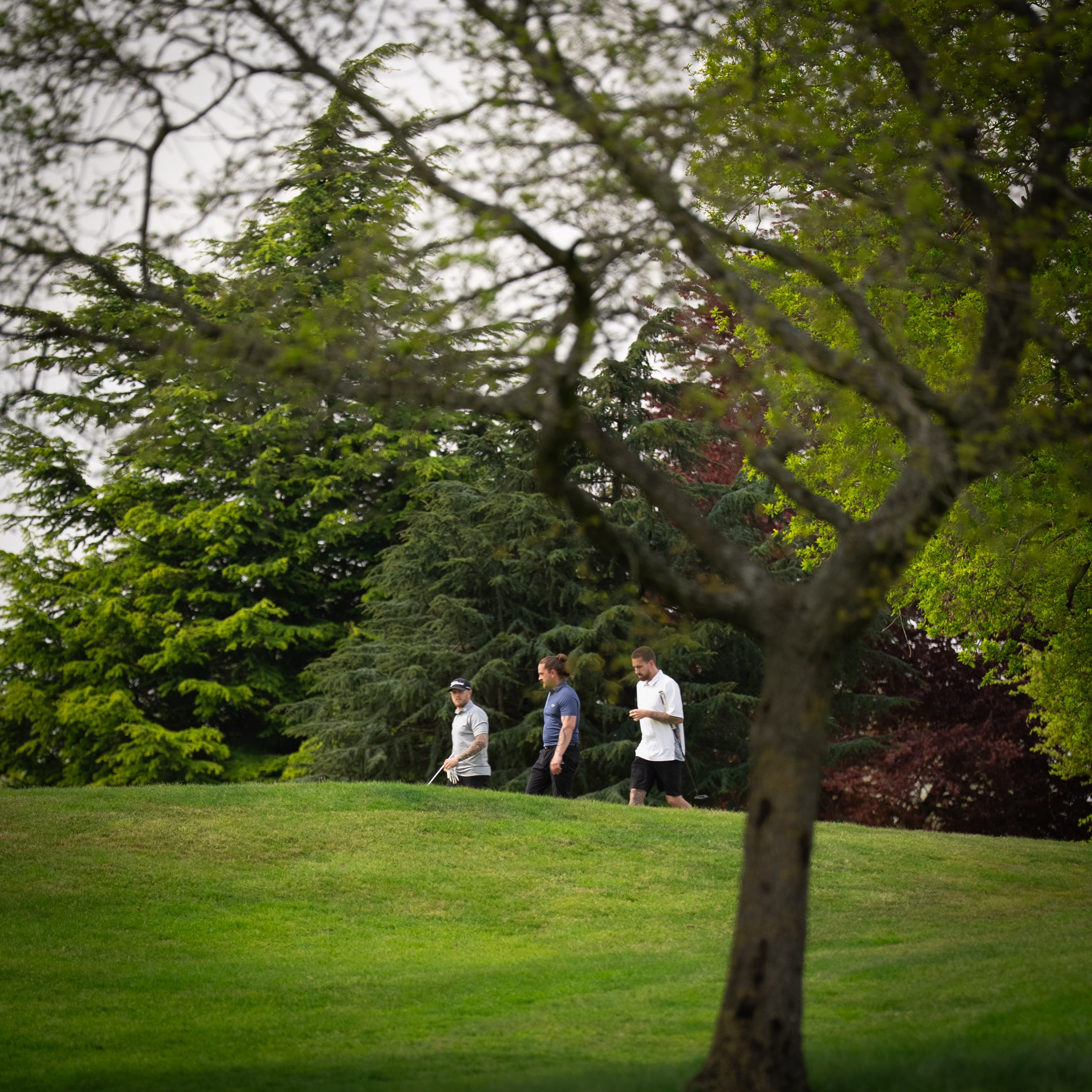Golfers walking together